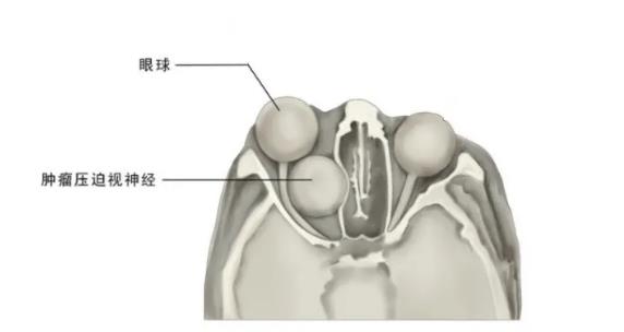 微信截图_20230421090222.jpg