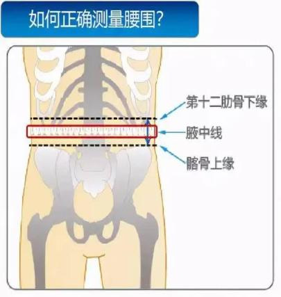 图片-2.jpg
